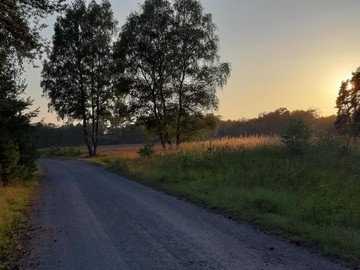 Ferienwohnung Zinne-Wigger Steimbke Kültér fotó